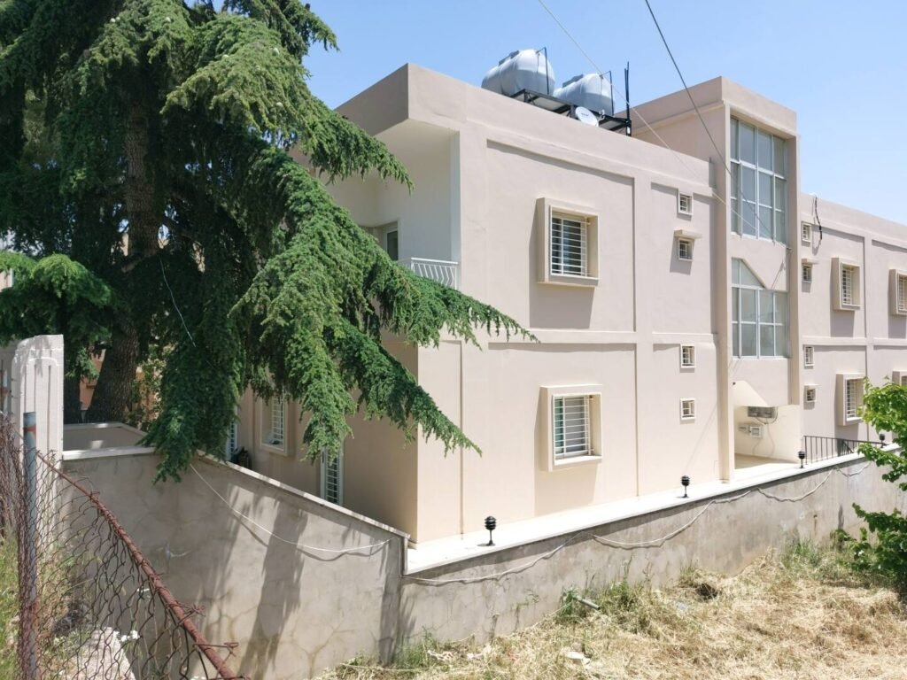 Olivas Marjaaoun